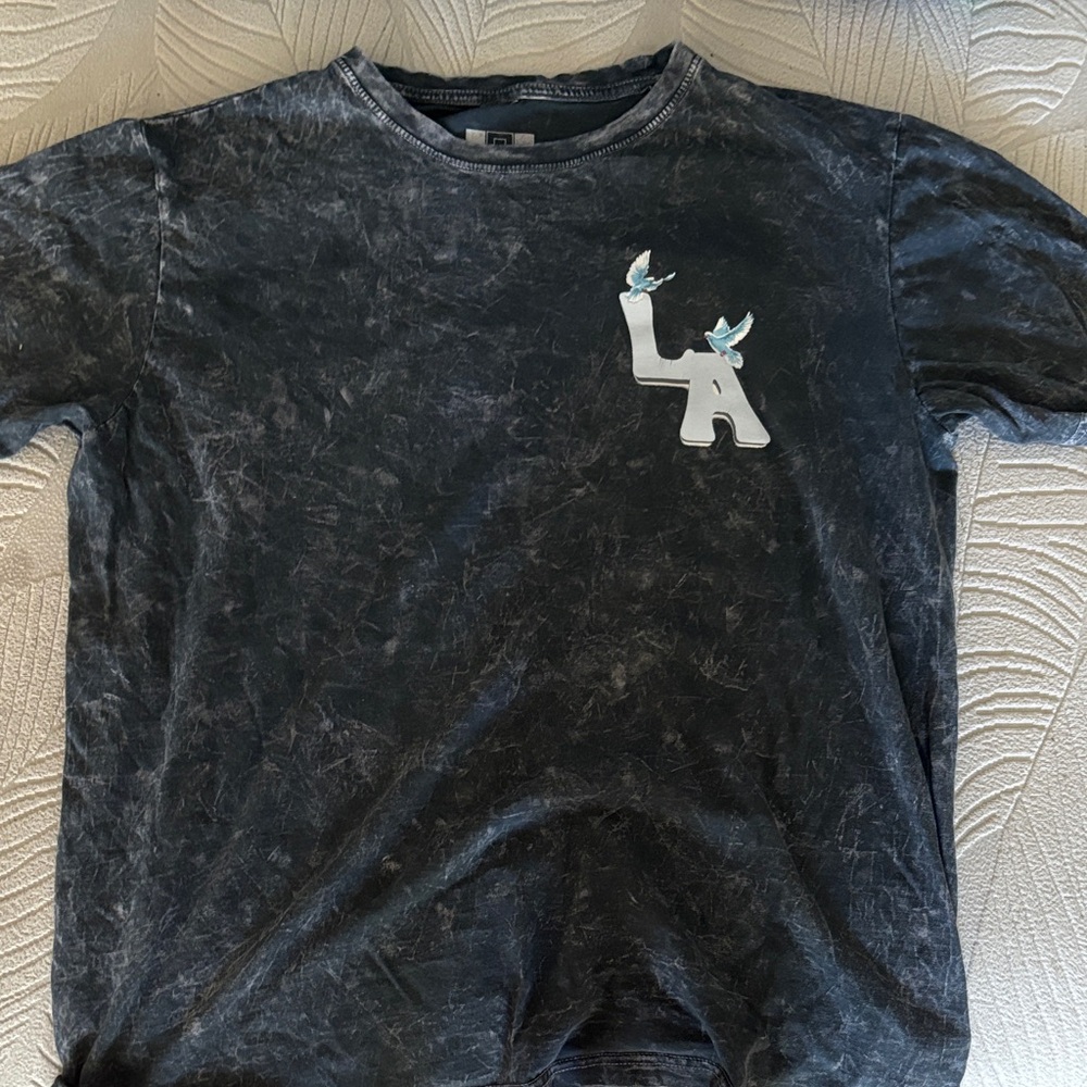 Kids Charcoal Graphic Tee with Dinosaur Design